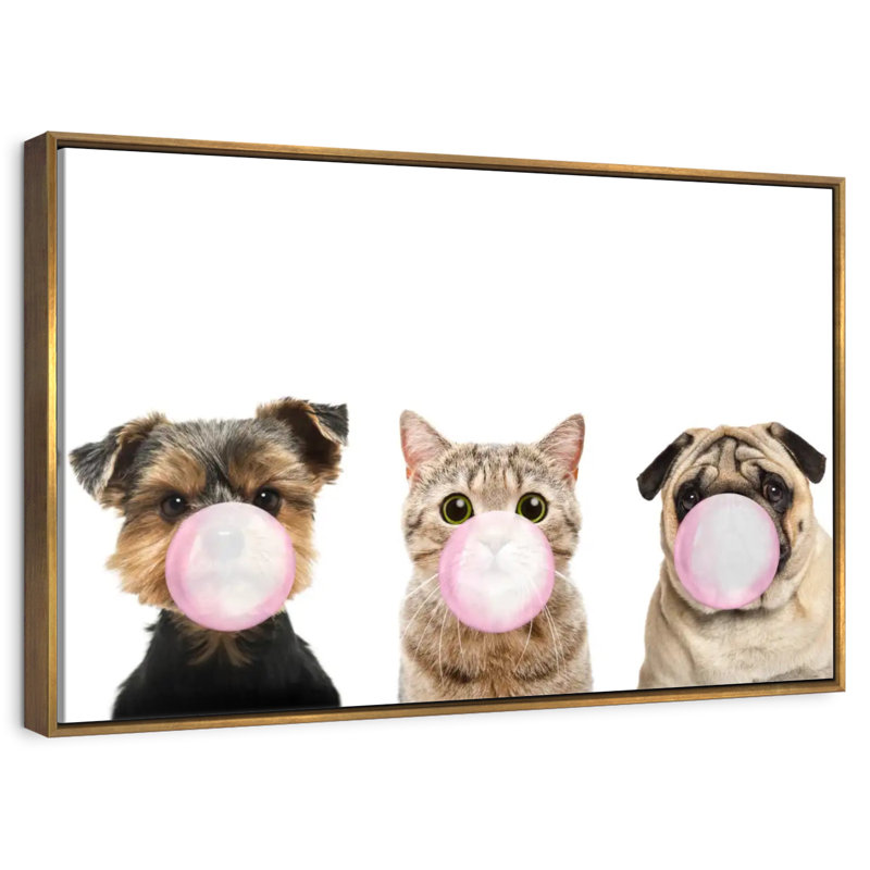 Bubble Gum, animaux de compagnie, Cadre flottant doré, 25 po x 17 po