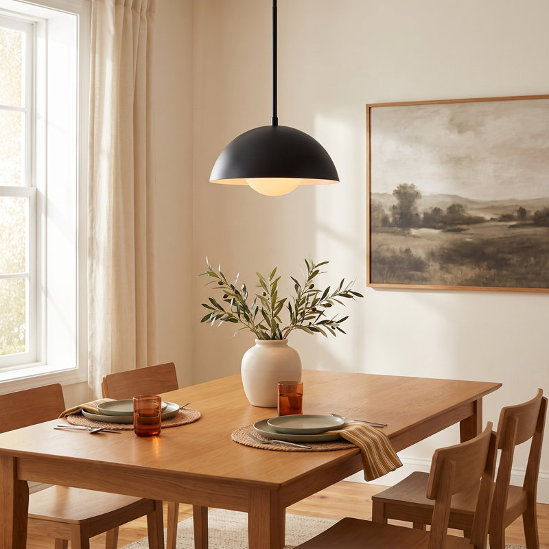 Montana 1 - Light Dome Pendant, Black