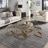 New Collection 15 Nesting Coffee Table