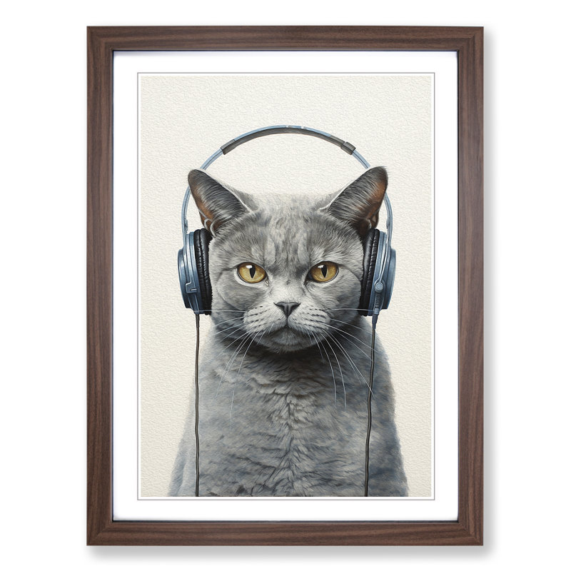 British Shorthair Cat With Headphones - Single Picture Frame Print on Wood, Walnut Framed, 46cm H x 34cm W x 2cm D