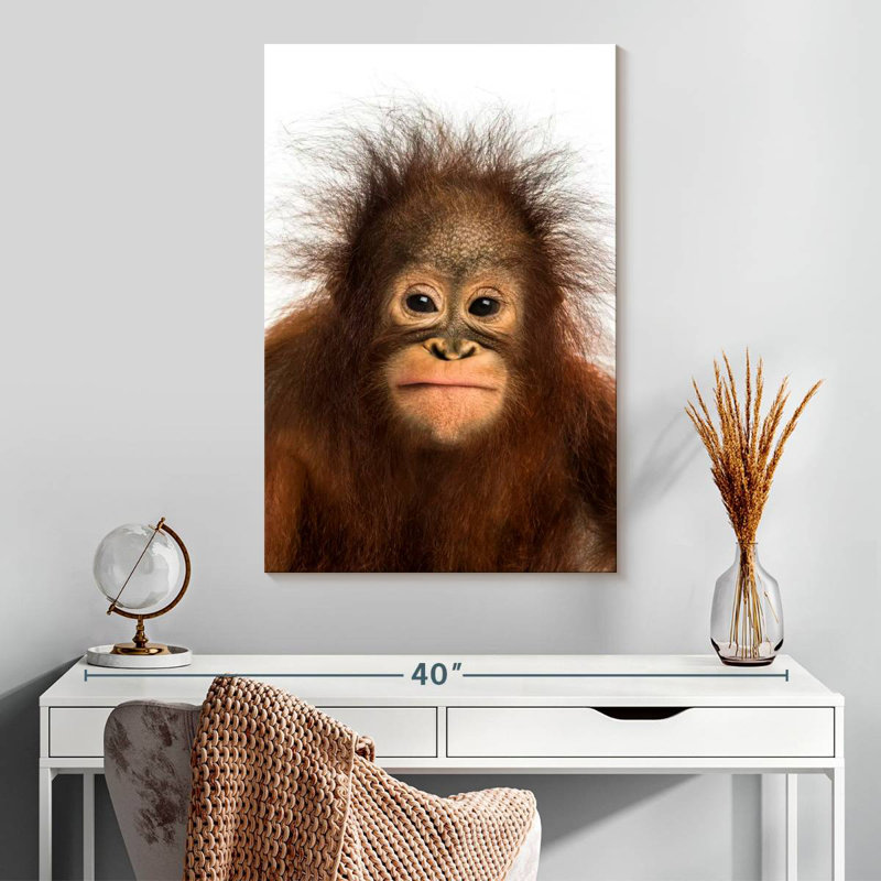 Brampt Hairy Forest Brampt, 30" H x 20" W