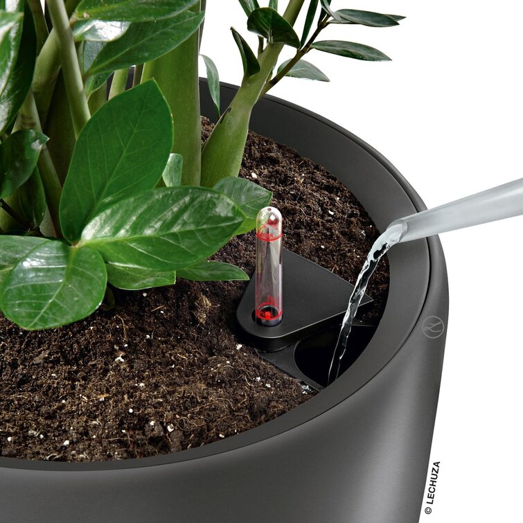 Lechuza Rondo Indoor Pot Planter & Reviews