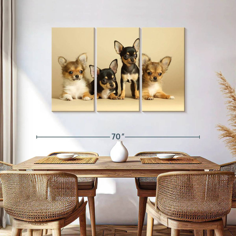 Brampt adorables chihuahua, H 36 po x l 57 po
