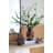 Calderon D6x10" Clear Glass Accent Vase With Artistic Amber Spots
