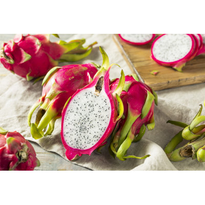 Dragon Fruit - Wrapped Canvas Print