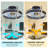 Eemil 20'' Ceiling Fan with LED Lights