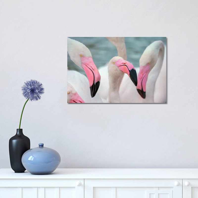 Flamingos IV by Ben Heine - Wrapped Canvas Print, 30.48 cm H x 45.72 cm W