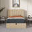 Daizia Lift Up Storage Platform Bed with Wingback Headboard-823033732-837495295