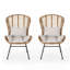 Chaise de patio avec coussins (ensemble de 2)-2037549260