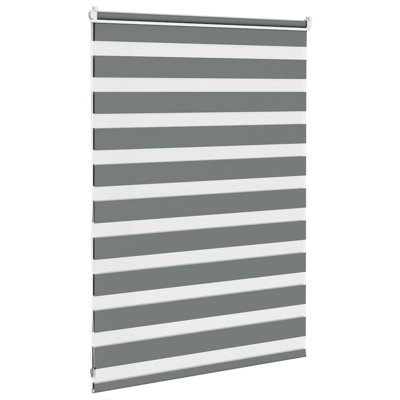 George Oliver Zebra Blind Polyester