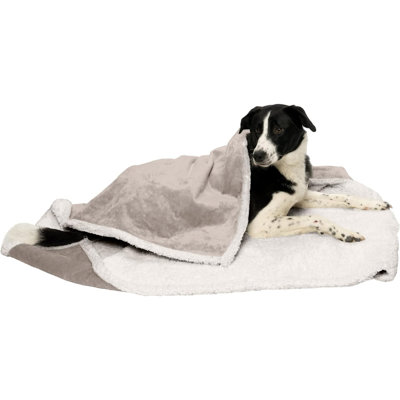 Pet Blanket