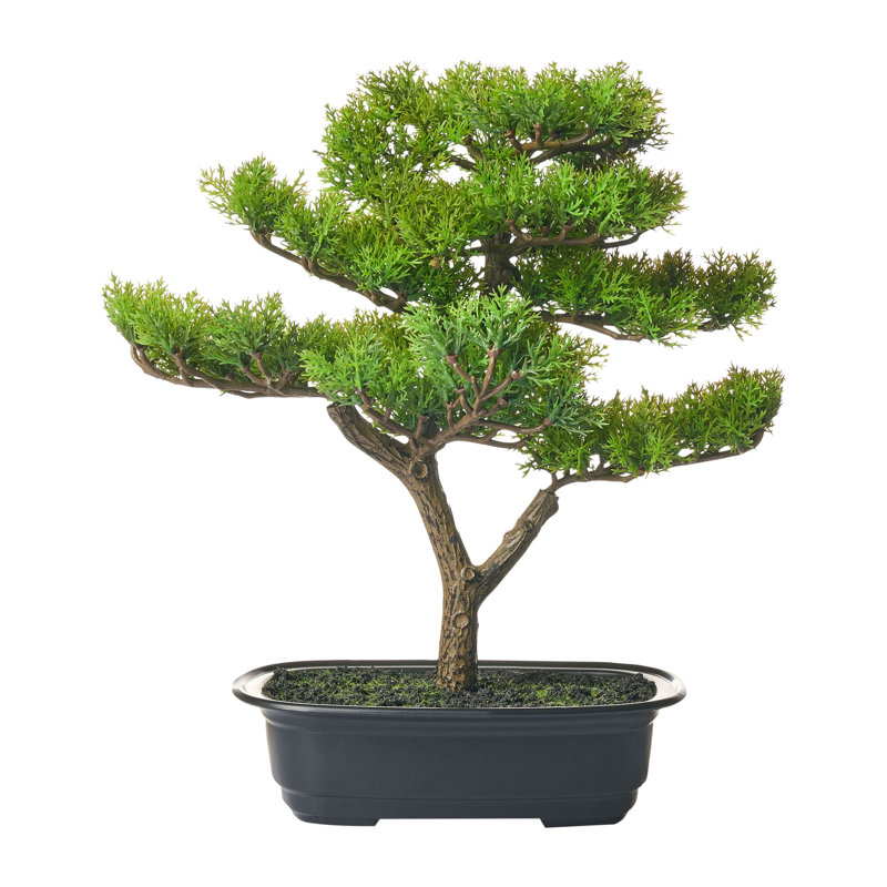37cm Faux Bonsai Tree in Pot