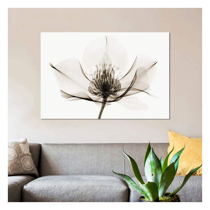 Robert Coop - Wrapped Canvas Print, 66.04 cm H x 45.72 cm W x 1.91 cm D