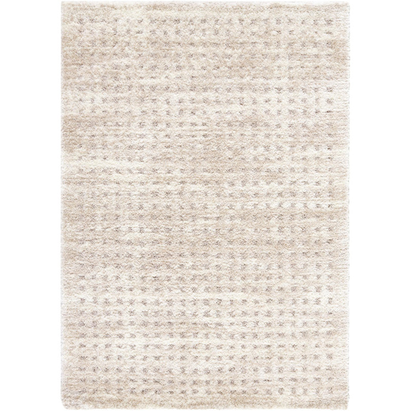 Aarno Modern Machine Woven Area Rug, Rectangle 5'3" x 7'