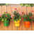 Sauge / safran / tangerine / brun est en rupture de stock