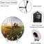 Horloge murale Soybean