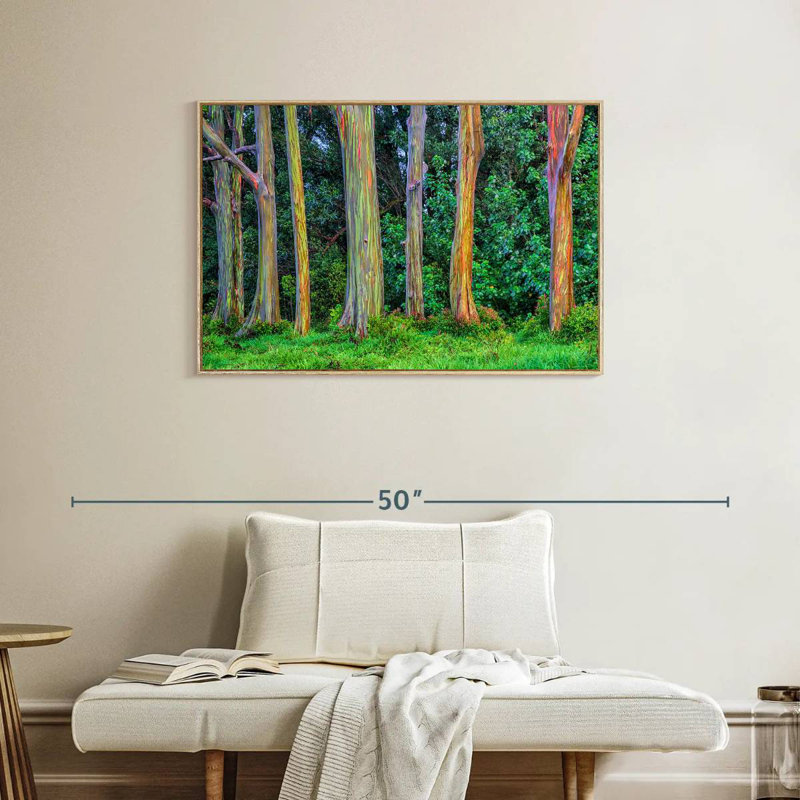 Eucalyptus arc-en-ciel, Cadre flottant en bois naturel, 37 po x 25 po