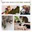 Northborough 46cm H Cat Tree-2092566919