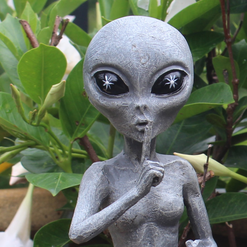 Anketell Astrology & Stars Weather Resistant UV Resistant Polyresin Garden Statue, Alien Gray