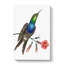 Furcated Hummingbird by George Shaw - Wrapped Canvas Painting-55304223