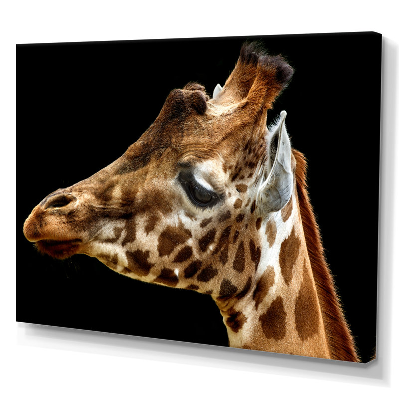 " Giraffe Portrait ", 12" H x 20" W x 1" D, Wrapped Canvas