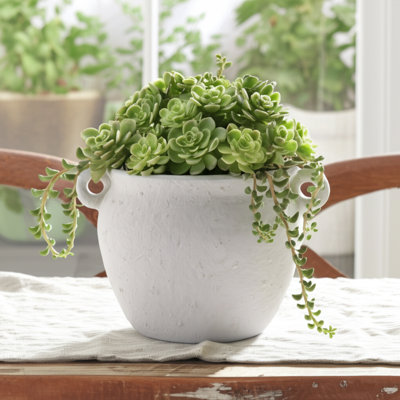 Pot de fleurs rustique rond en céramique pour la décoration intérieure - Pot de fleurs d'intérieur classique pour le salon et le patio - 10 po, blanc
