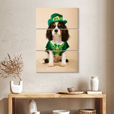 Chien Brampt en costume de lutin