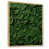 Brown Floater Framed selected