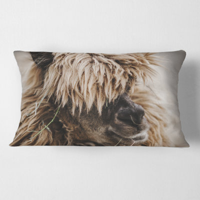 Portrait de housse de coussin rectangulaire rectangulaire en alpaga