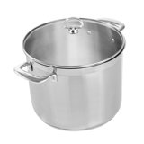 Chantal 12 qt. Stainless Steel Stock Pot with Lid