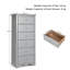 Fitz 59cm W 6 - Drawer Chest of Drawers-1676452048