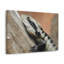 No Frame Print on Canvas