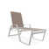 Holna Outdoor Rust-Resistant Metal Chaise Lounge