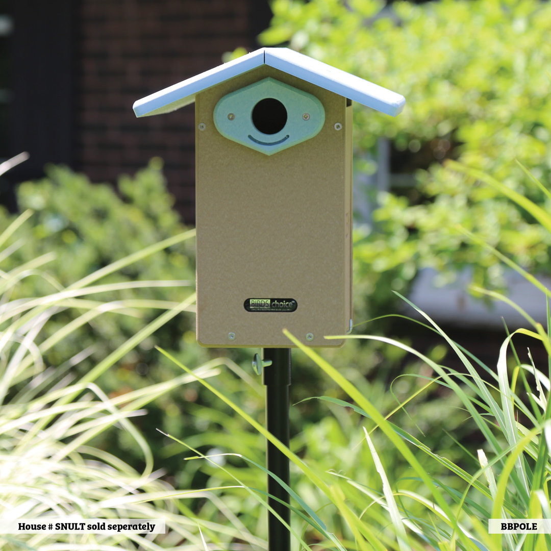 Birds Choice 54" Bluebird Bird House Pole Set, Black Birds Choice