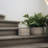 Plant Bowl 2-Set Beige S/L