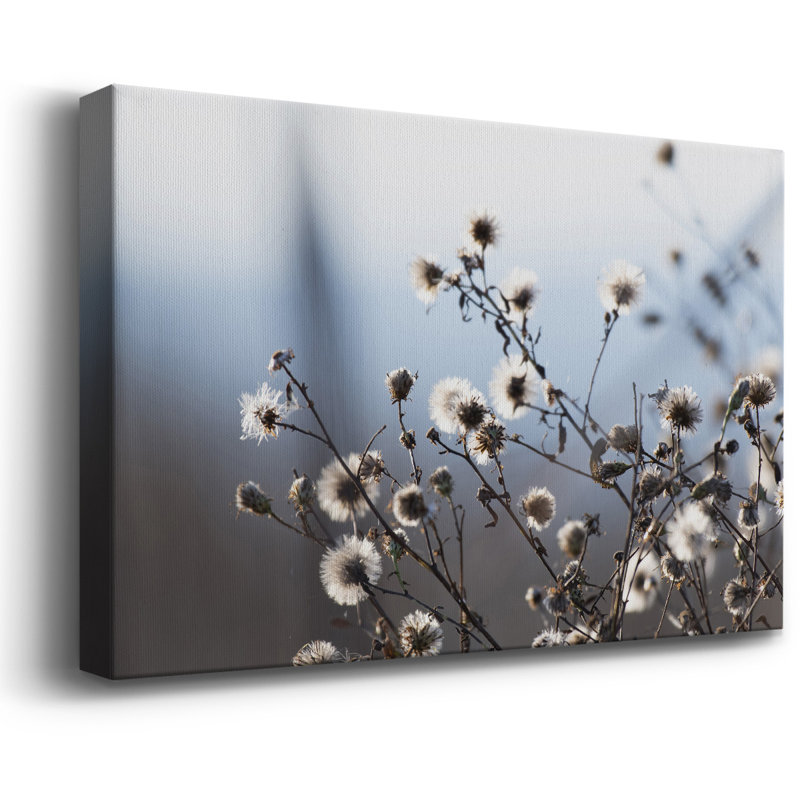 Spring Fluff Premium Gallery Wrapped Canvas - Ready to Hang