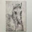 « white gray cheval » par irena orlov, reproduction d’art sur toile tendue-19145896