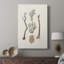 Knorr Shells & Coral V - galerie sur mesure-118068744