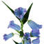 Artificial Arrangement-106401542-112376035