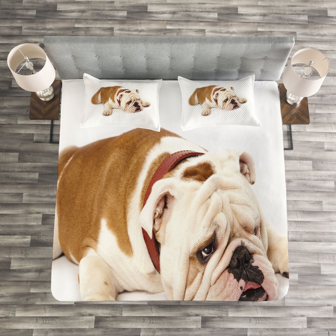 Gestepptes Bettdecken-Set, Sad Tier, Englische Bulldogge, Creme