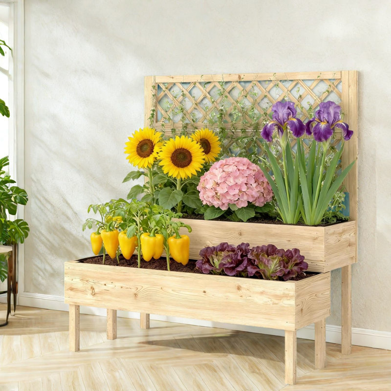 Jardinières rustiques en bois avec treillis, spacieux jardin surélevé