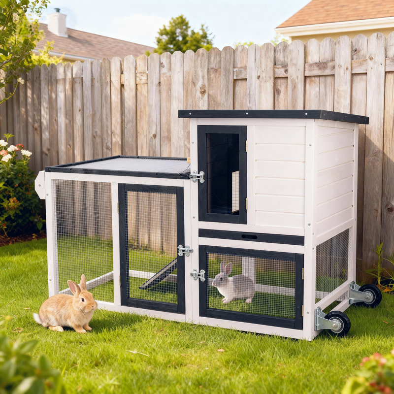Cage à lapins intérieure et extérieure avec cage et poulailler, White
