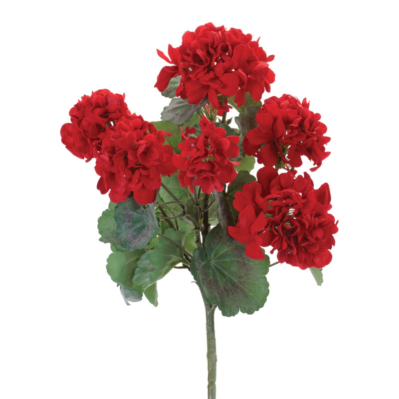 Geranium Floral Bush