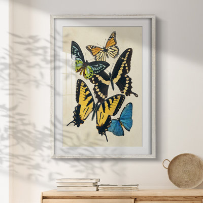 Rollo -Gallery Wrapped Canvas