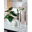 Glass Tabletop Candlestick-2047455828