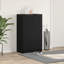 12 Pair Shoe Storage Cabinet