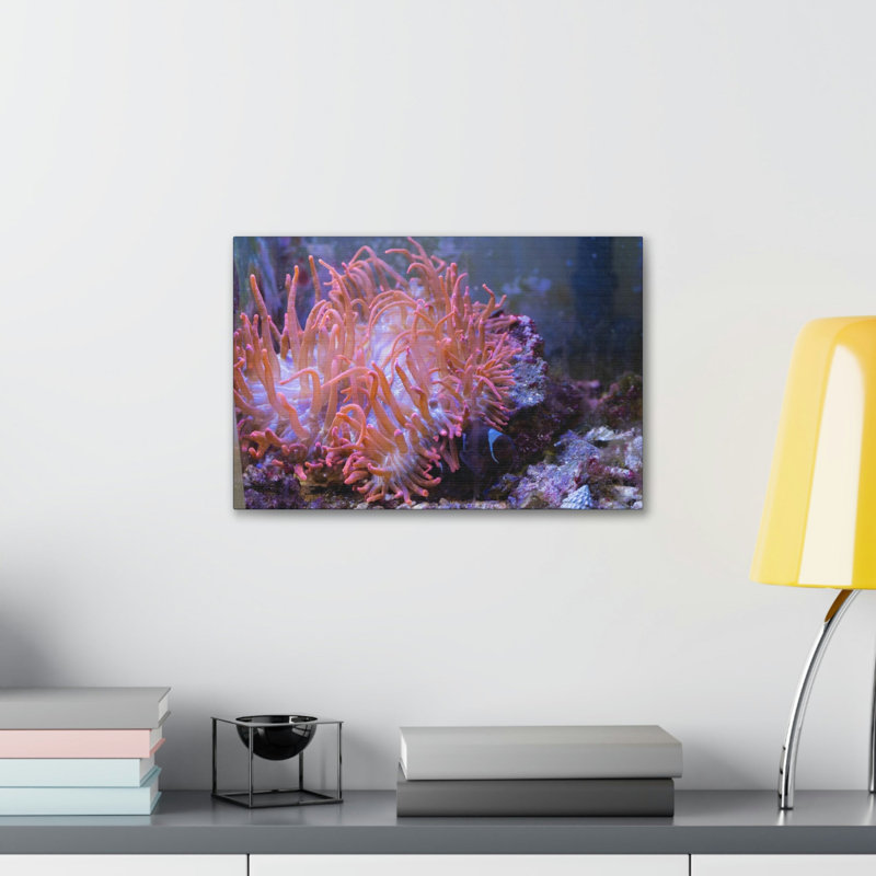 No Frame Print on Canvas, 27.94cm H x 35.56cm W