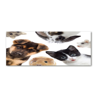 Pets - No Frame Print on Canvas