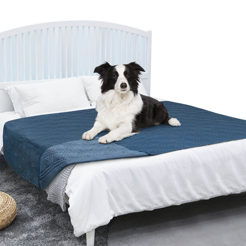 Polyester Pet Blanket, 102" x 82", Blue