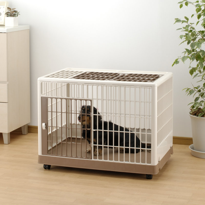 Plastic Pet Crate with 2 Doors, Small (22" H x 19.7" W x 25.4" D)